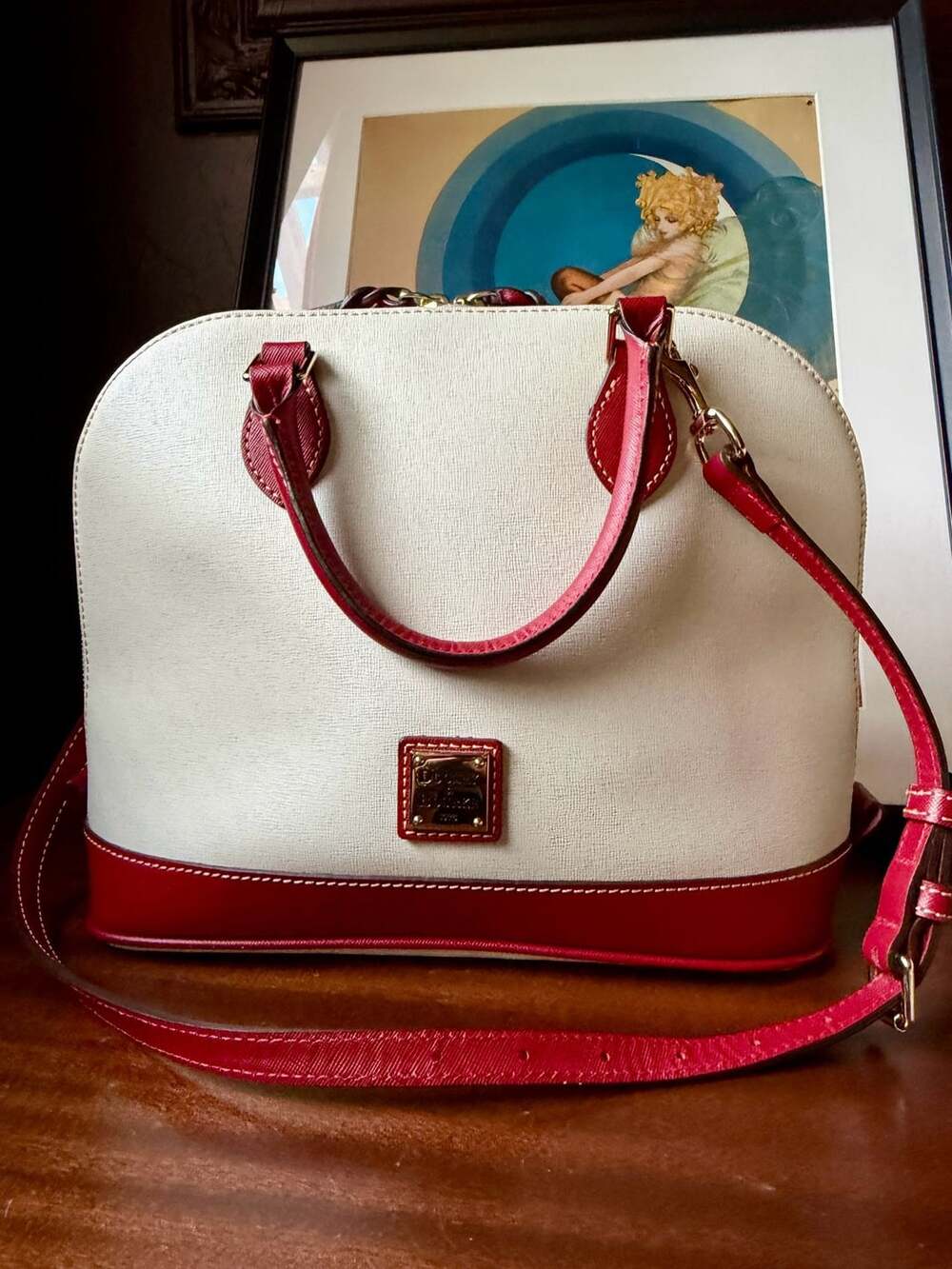 Dooney & Bourke Saffiano Leather Zip Zip Satchel